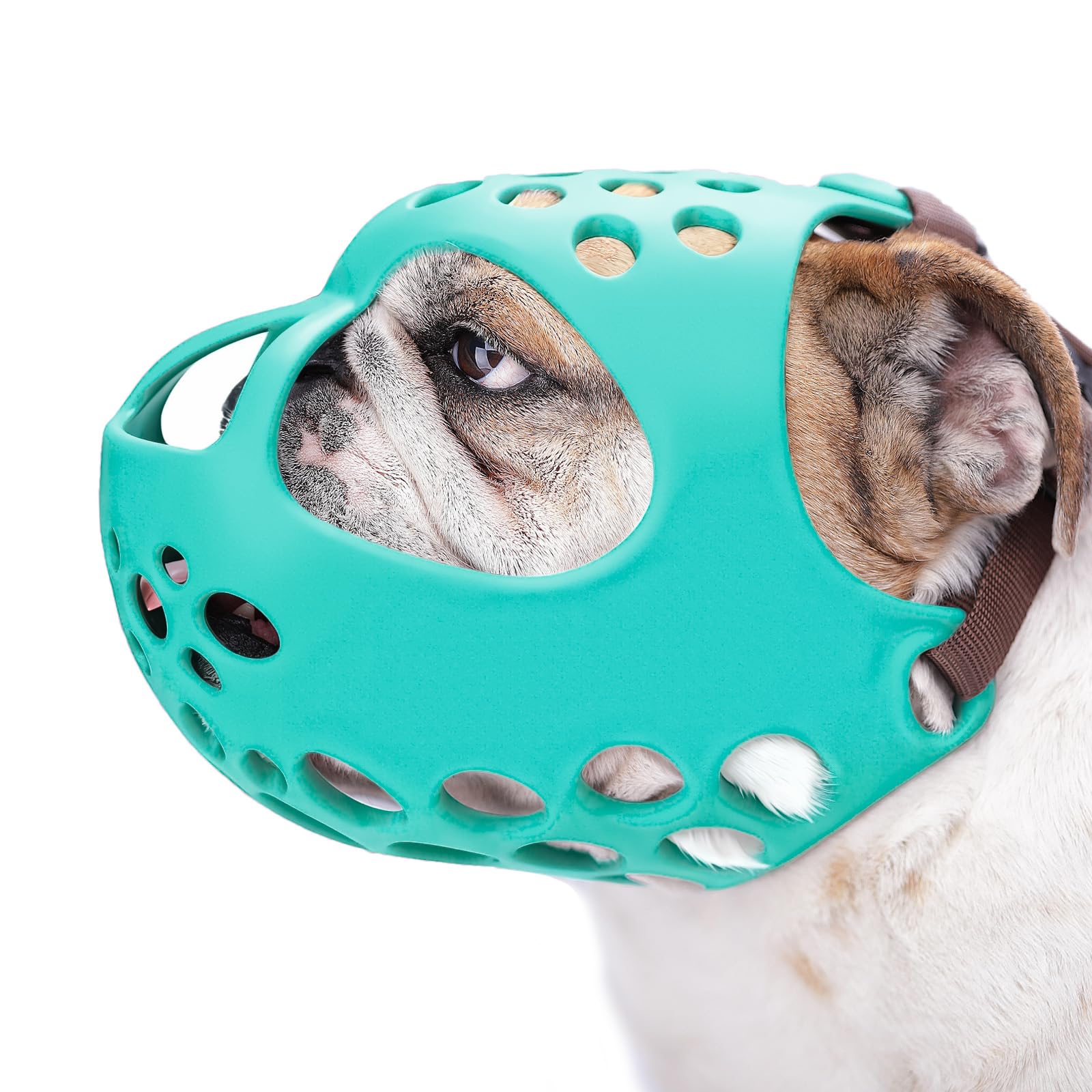 Amazon.com : BARKLESS Muzzle for Short Snout Dog, Soft English